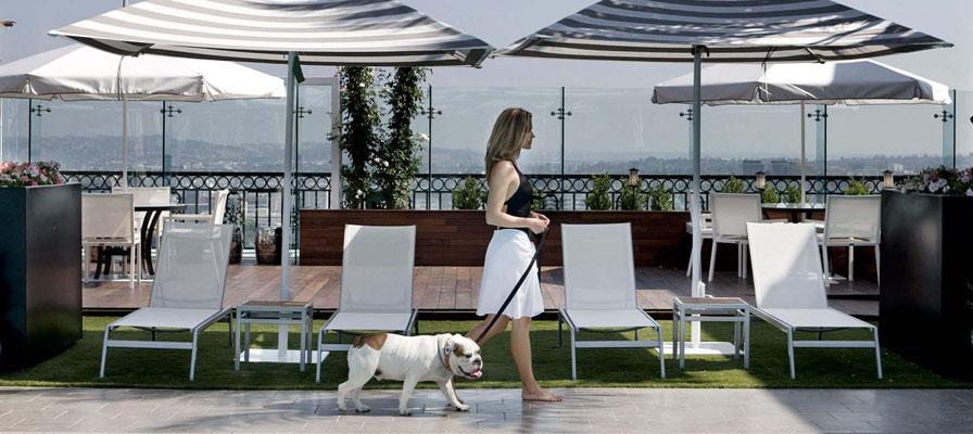 Janus et cie Koko Chaise Lounge